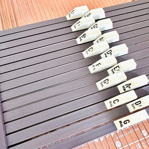 AUTOHARP BY OSCAR SCHMIDT WITH CARRYING CASE BH MODEL - Picture 5 of 16